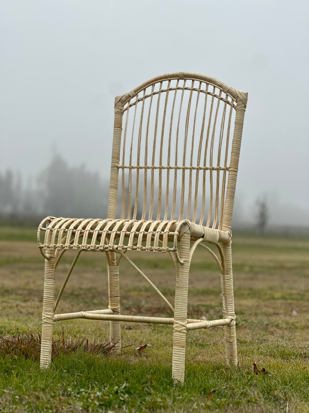 Silla Lacho